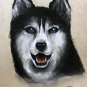 chien